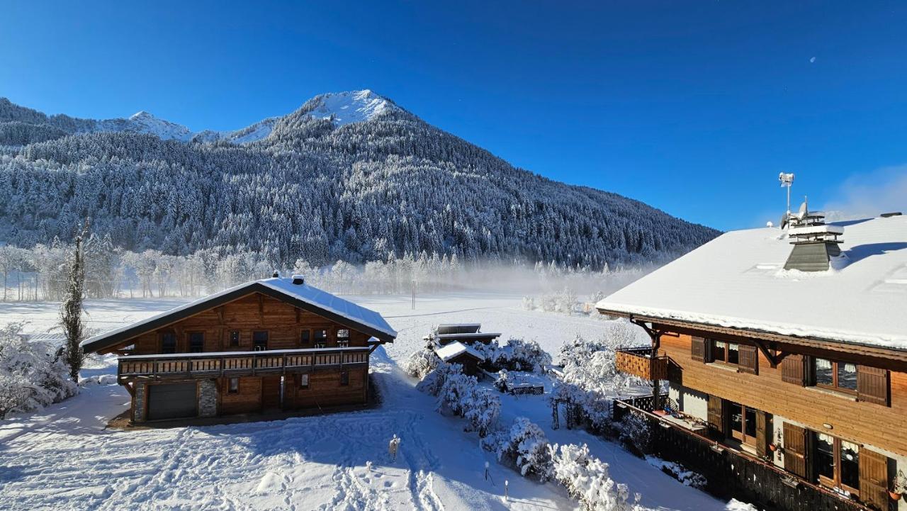 Demi-Chalet Vadel La Panthiaz 15 Pers 5 Chambres Abondance Exterior foto
